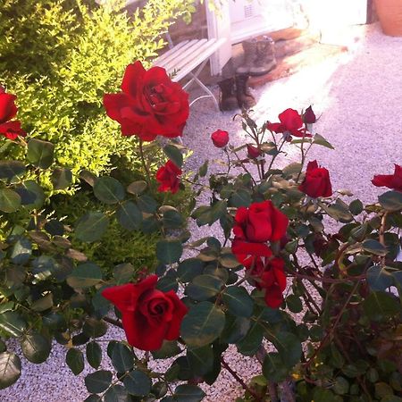 L'Ecrin Bed & Breakfast Villeneuve-sur-Lot Eksteriør bilde