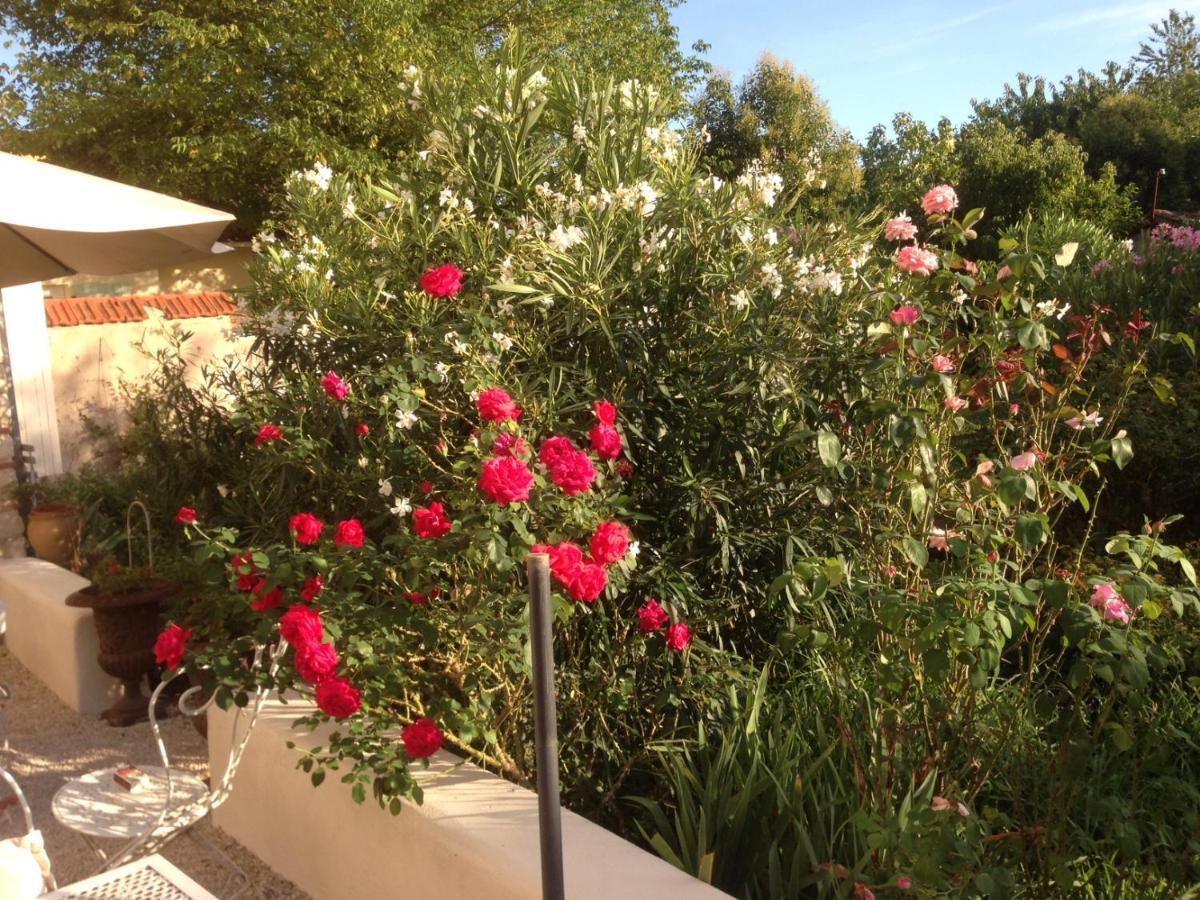 L'Ecrin Bed & Breakfast Villeneuve-sur-Lot Eksteriør bilde