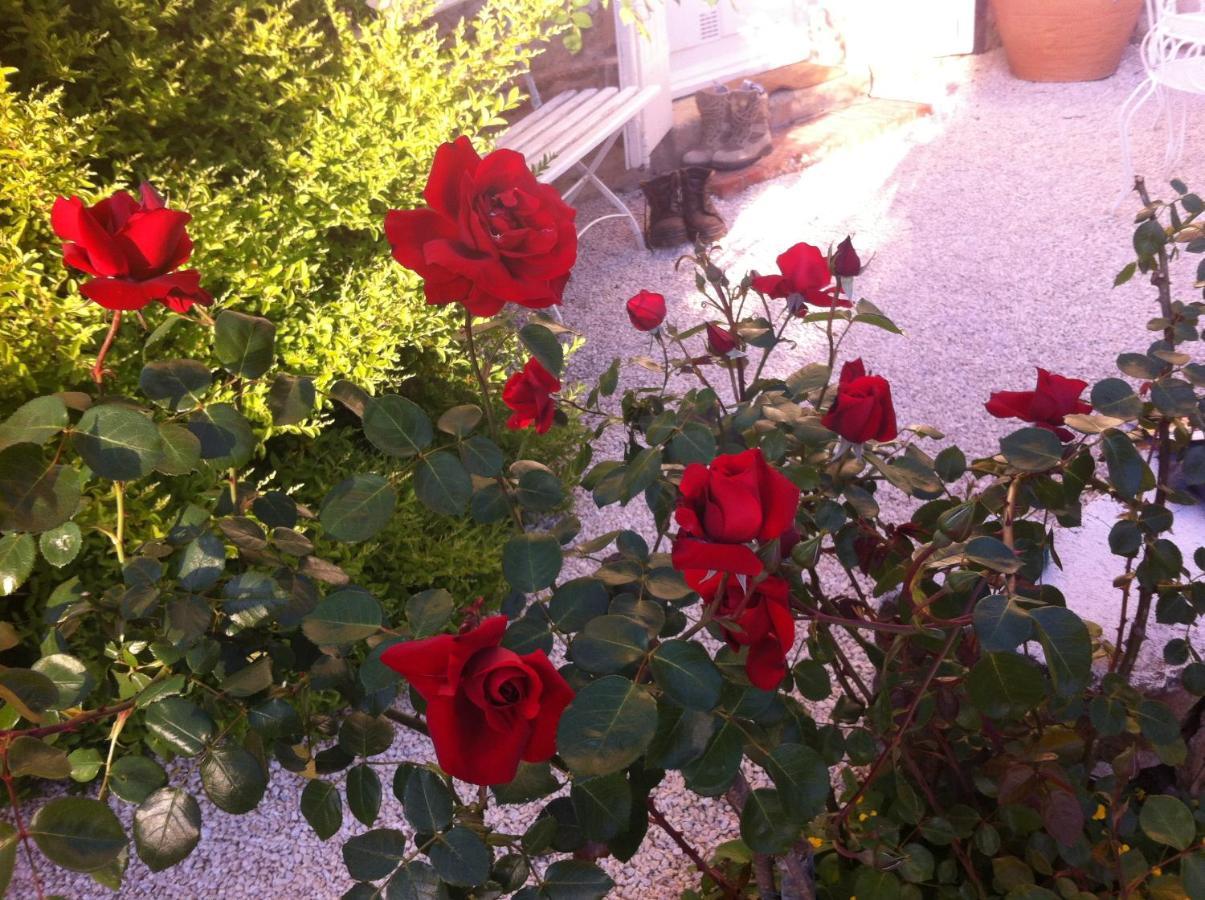 L'Ecrin Bed & Breakfast Villeneuve-sur-Lot Eksteriør bilde